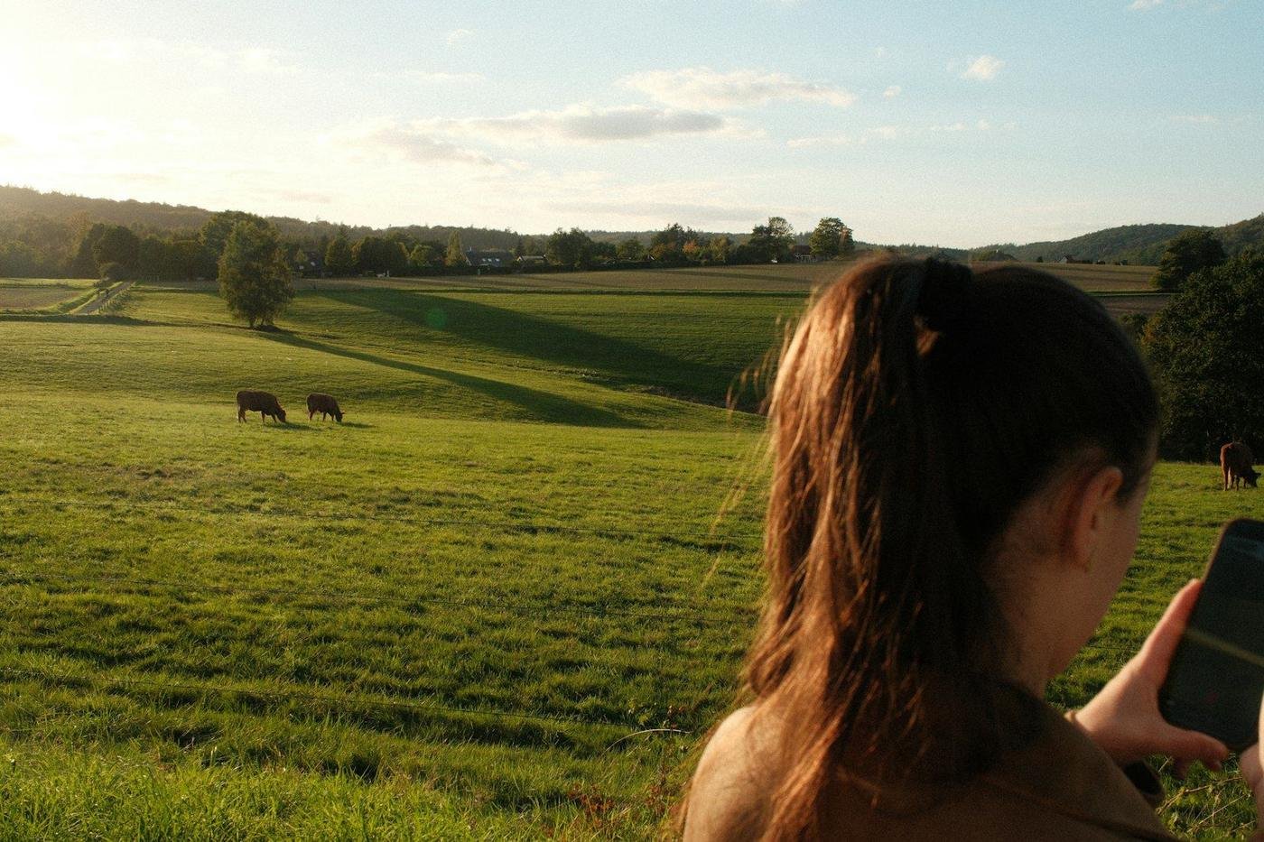 Woman holding a smartphone overlooking a rural pasture